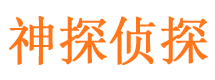 谢家集出轨取证